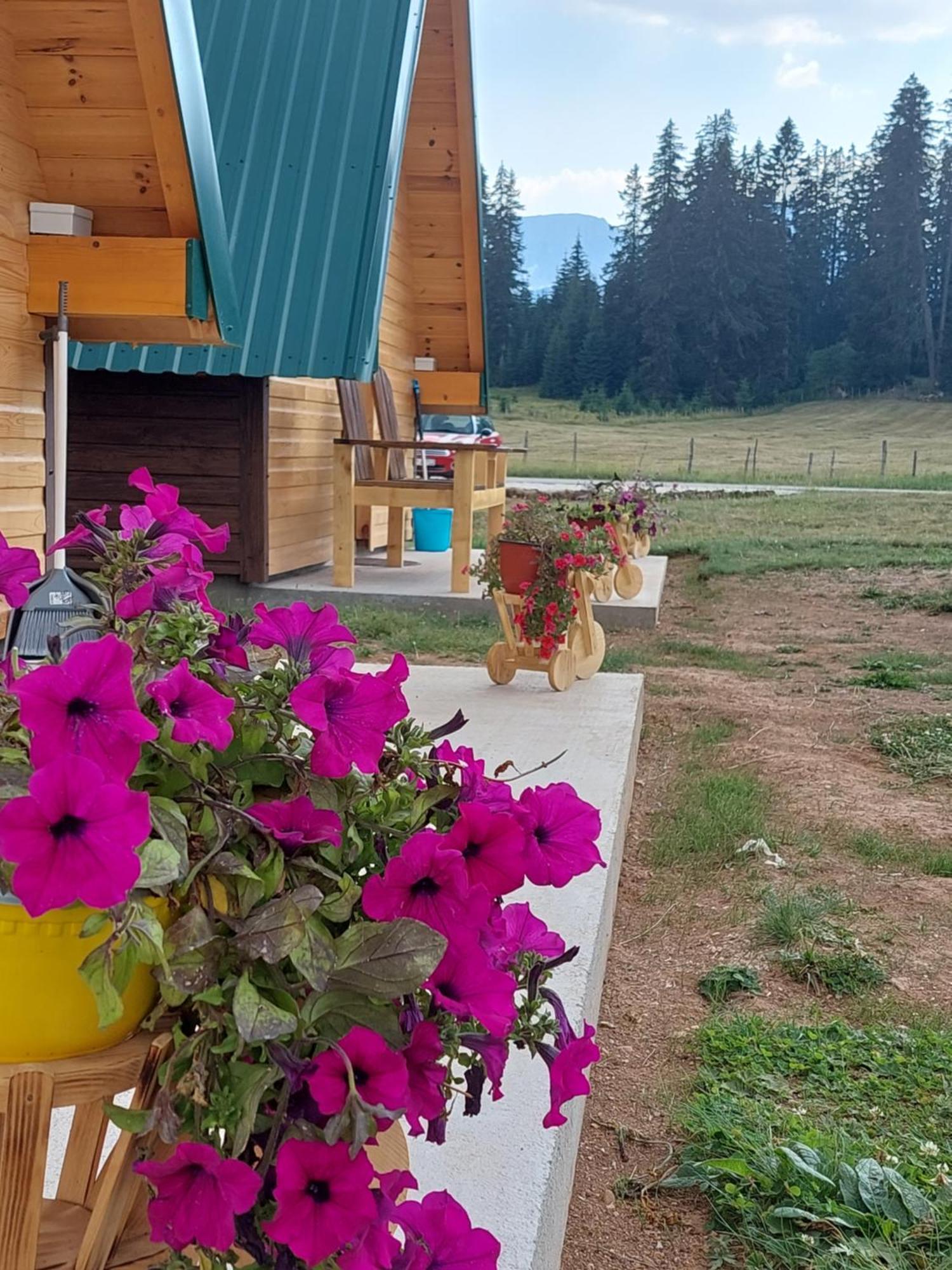 Sumski Raj Žabljak Habitación foto